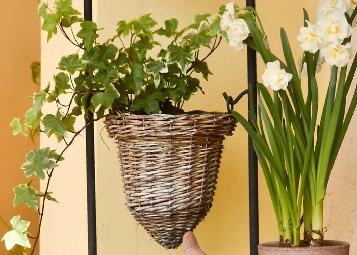 Sonnengarten * Uberlingen